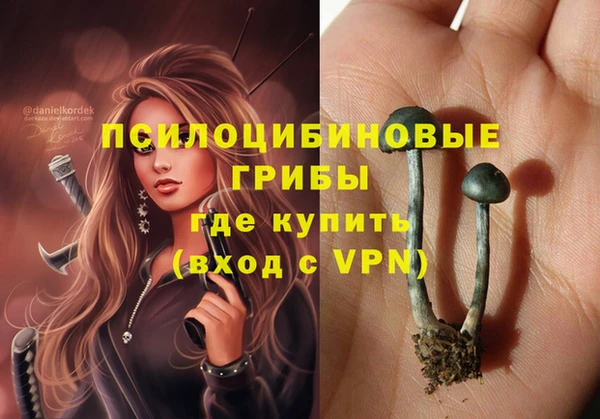 PSILOCYBIN Зеленодольск