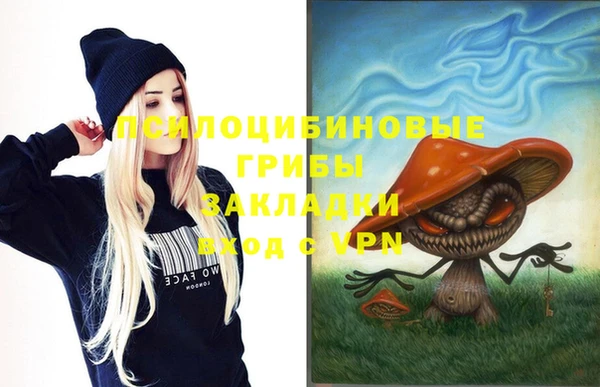 PSILOCYBIN Зеленодольск