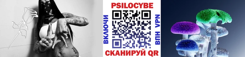 Купить закладки  Верхний Тагил  Галлюциногенные грибы GOLDEN TEACHER 